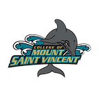 College of Mount Saint Vincent